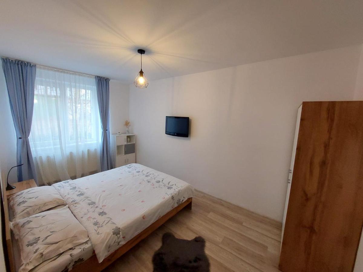 Youth Central Apartment Târgu-Mureş Exteriör bild